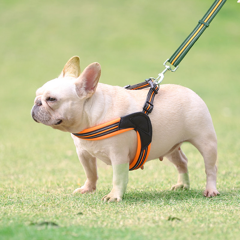 狗鞍牵引绳狗绳子法斗巴哥狗狗胸背带狗项圈遛狗小型犬宠物用品