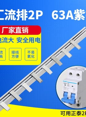 电气汇流排2P63A国标紫铜C45空开连接排梳妆母排接线排铜排断路器