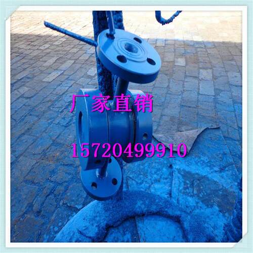 生产叶轮式水流指示器厂家法兰式水流指示器优质钢制圆形排水漏斗