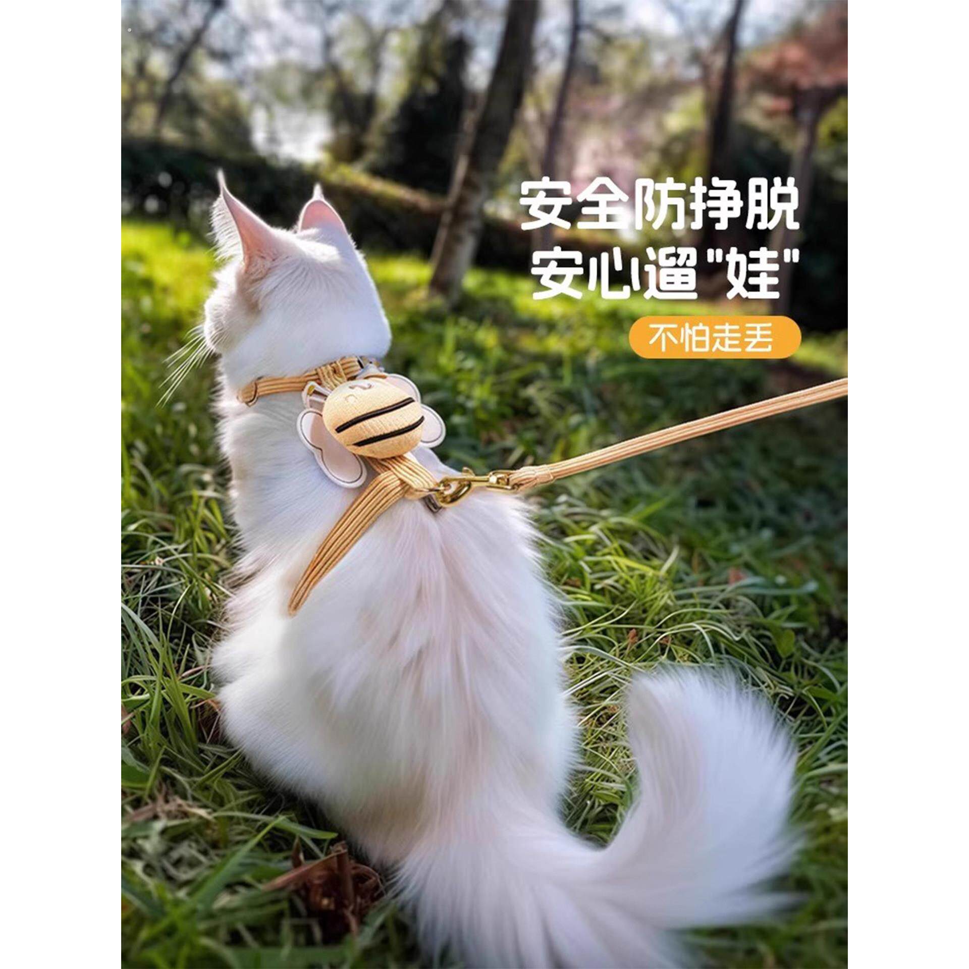 猫咪牵引绳防挣脱不勒脖外出专用猫绳子猫胸背带猫项圈溜小猫神器