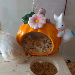 金丝熊陶瓷仓鼠窝造景躲避屋金丝熊南瓜窝避难所降温冰屋睡窝夏天