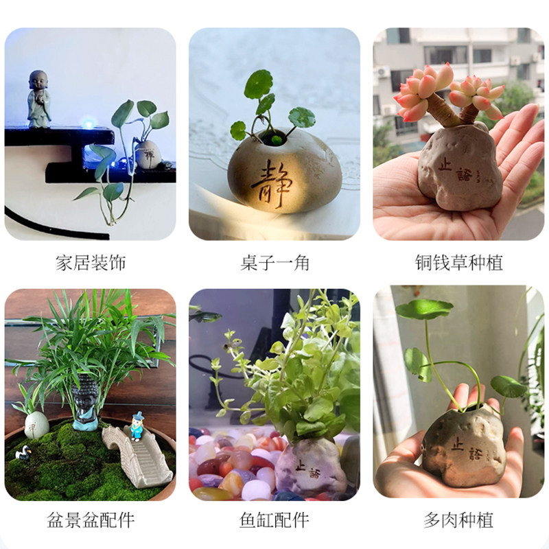 铜钱草仿石头水培花盆粗陶瓷禅意创意绿萝花瓶器皿客厅桌面摆件,鲜花速递/花卉仿真/绿植园艺,花瓶,淘宝优惠券,粉丝福利购,淘宝优惠卷