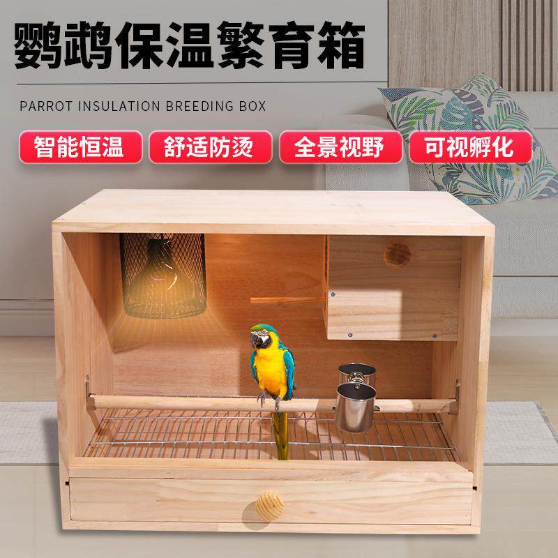 鹦鹉保温箱饲养虎皮牡丹玄凤小太阳育雏手养幼鸟风暖灯暖恒温温控
