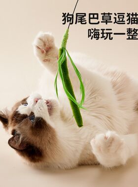 猫玩具羽毛逗猫棒猫咪自嗨解闷神器小猫专用斗猫棒幼猫啃咬球玩具