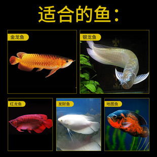 保拿仕热带增艳鱼食观赏鱼金龙银龙鱼饲料地图鱼鱼粮招财鱼不浑水