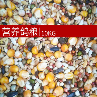 鸽粮赛鸽信鸽子有玉米营养鸽粮鸟食种鸽元宝观赏鸽饲料20斤