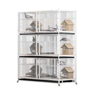 鸽子配对笼元宝信鸽养殖笼家用带食盒水槽加密防老鼠专业大型鸽笼