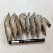 龙鱼虎鱼魟鱼乌龟饲料冻泥鳅段河虾麦穗鱼食增色林蛙 包邮 5斤专拍