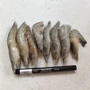 包邮龙鱼虎鱼魟鱼乌龟饲料冻泥鳅段河虾麦穗鱼食增色林蛙 5斤专拍