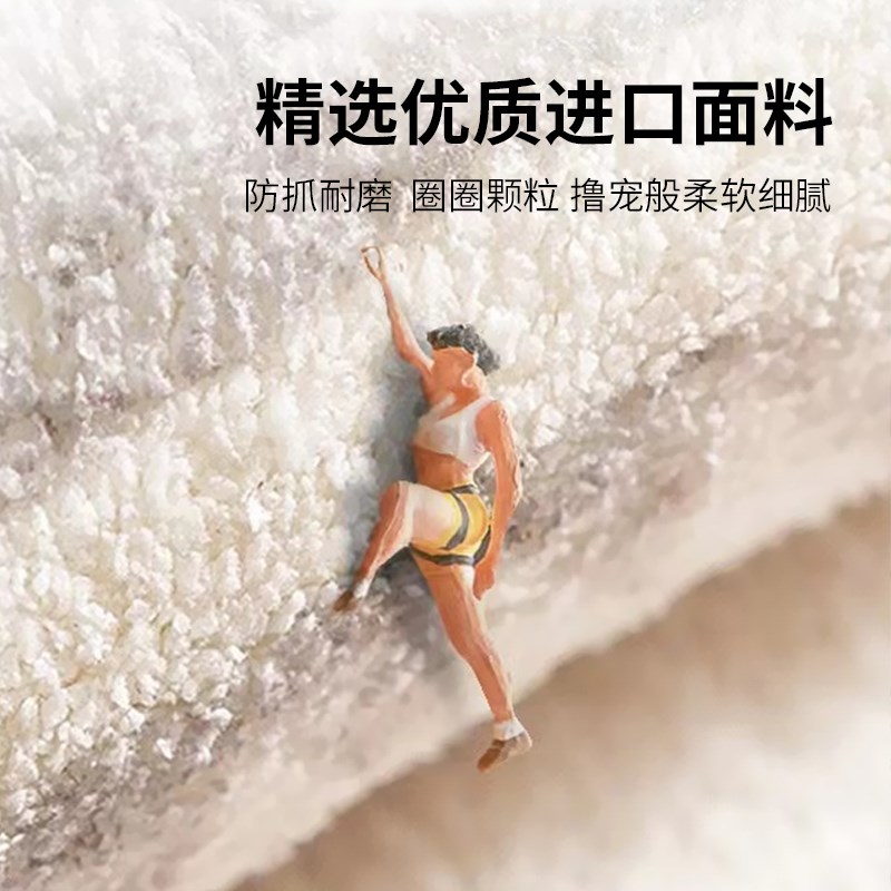 地毯客厅卧室冬天奶油法风沙发羊羔绒防水新款轻奢高级免打理地垫