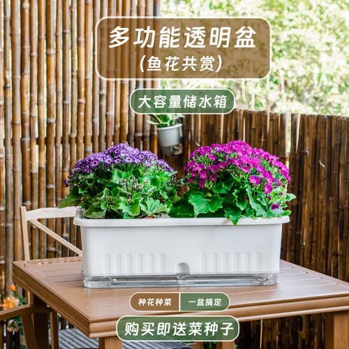 室内阳台种菜专用盆长方形自吸水懒人种花种蔬菜箱草莓特大号塑料