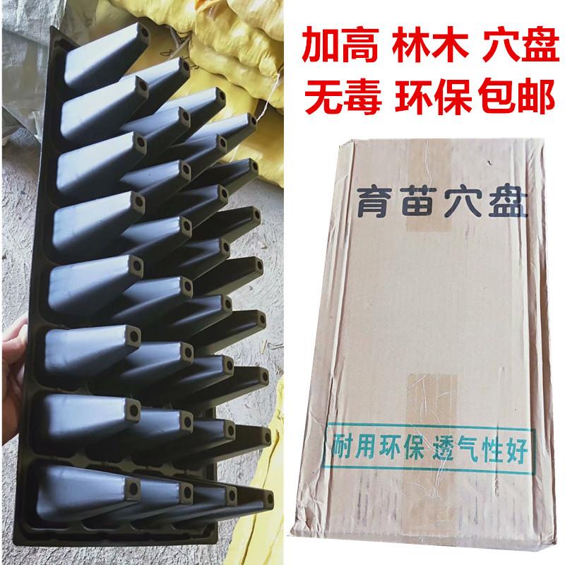 加厚育苗盘加高林木穴盘有孔平盘营养钵塑料多肉草莓 育苗箱 无孔