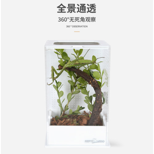 Reptizoo亚克力饲养盒蚂蚱昆虫盒螳螂罐蝈蝈笼子鸣虫生态盒蟋蟀箱