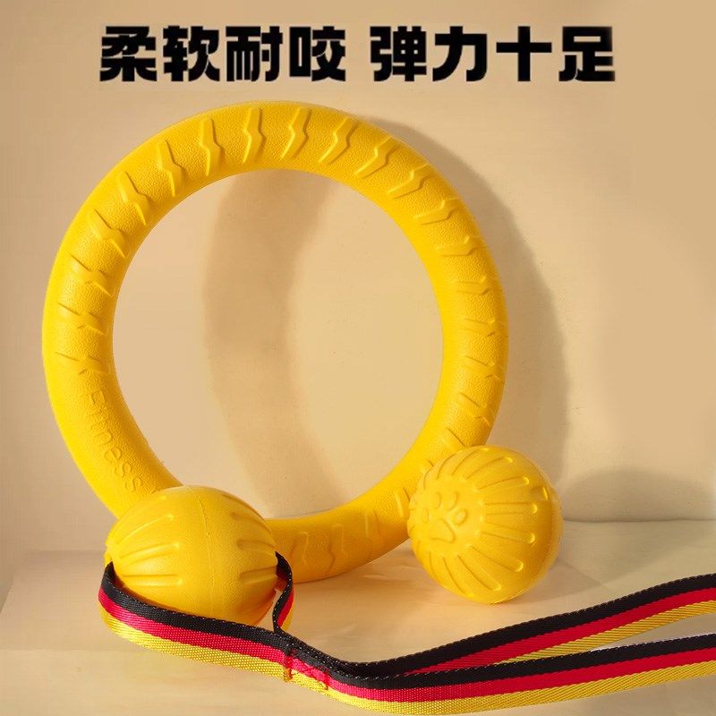 狗狗玩具大型犬圆环飞盘拉力环小狗磨牙洁齿耐咬解闷神器宠物玩具,宠物/宠物食品及用品,橡胶球/球形玩具,淘宝优惠券,粉丝福利购,淘宝优惠卷