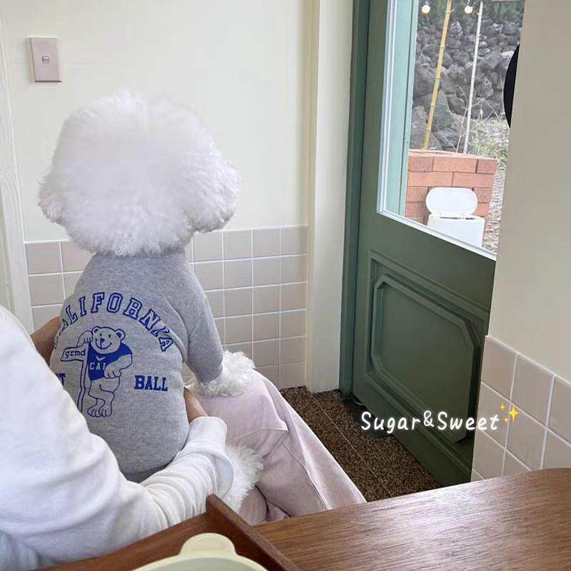 宠物狗狗猫咪春秋款防掉毛衣服泰迪比熊博美小型犬雪纳瑞约克夏