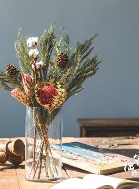 北欧天然绿色干花真花树枝装饰干枝圣诞花环手工制作材料天竺少女
