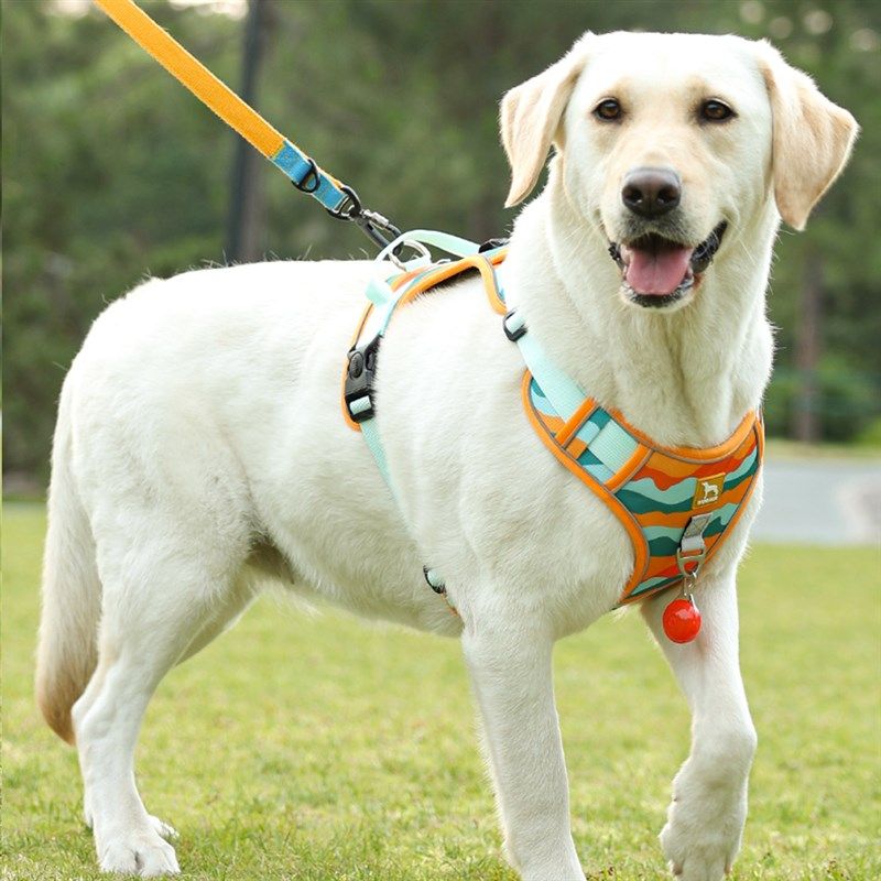 大狗狗牵引绳背心式防爆冲胸背带柯基拉布拉多中大型犬宠物遛狗绳,宠物/宠物食品及用品,狗牵引绳,淘宝优惠券,粉丝福利购,淘宝优惠卷