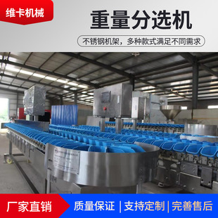 厂家热销大枣重量分选机 水果全自动在线分拣机 水果重量分选机