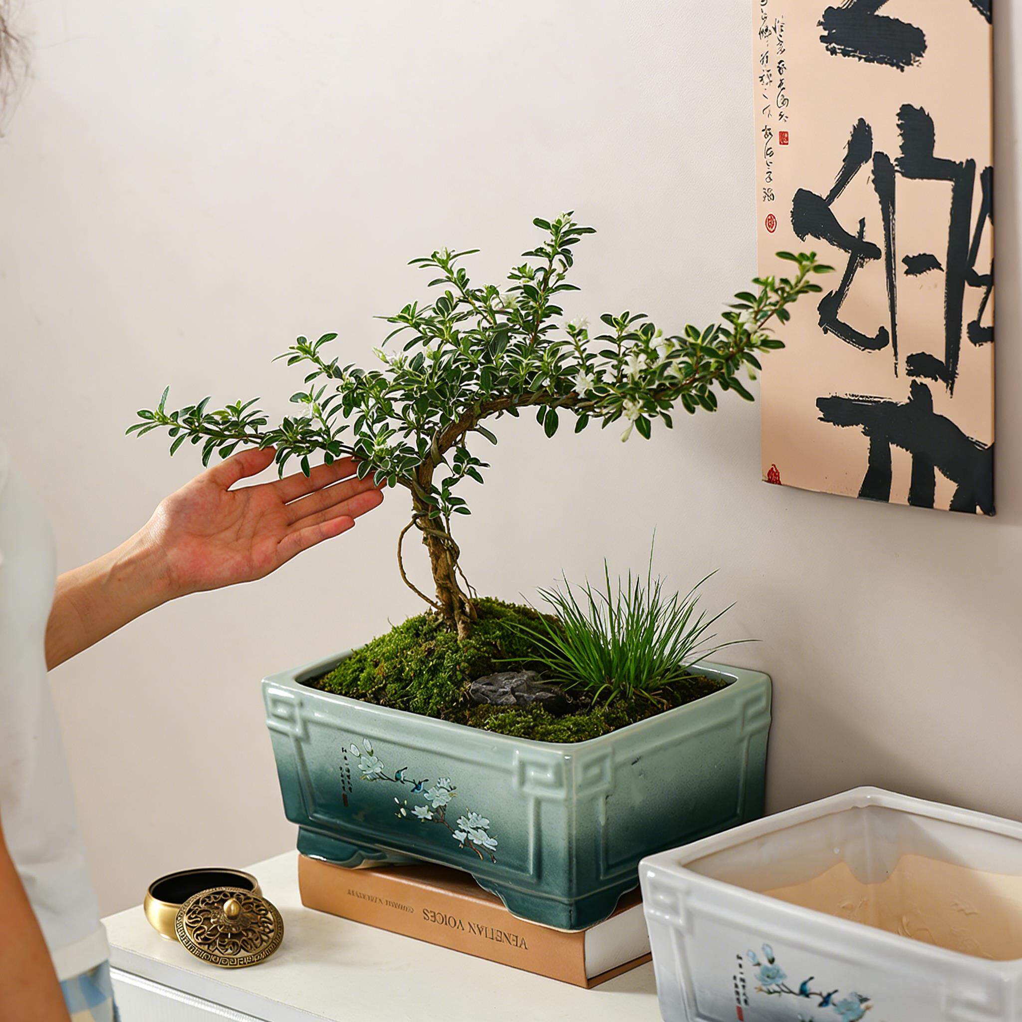 陶瓷花盆长方形绿色大号中式马槽盆家用六月雪小叶簕竹专用盆景盆
