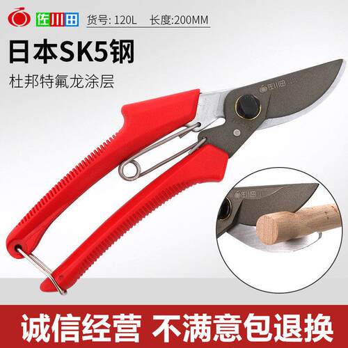 修枝剪树枝园林果树剪刀粗枝花剪省力树枝修花工具SK5钢园艺剪刀