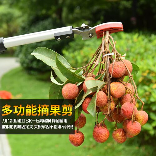 绿苑高空摘果器果树修枝剪高空伸缩摘果剪刀高枝锯子荔枝采摘神器