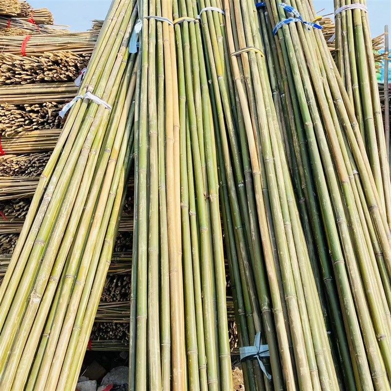 竹竿小竹杆菜园搭架子篱笆栅栏菜旗杆阳台植物豆角黄瓜爬藤花架