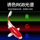高亮鱼缸灯led水族箱照明灯小型蓝白红蓝绿三色全光谱开关变色灯