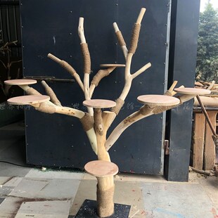 实木猫爬架耐磨不粘毛原木枯树干大型窝抓板爬树宠物玩具跳台一体