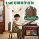 动物园之家 王冠阅读椅儿童椅学习椅蒙氏实木小桌椅子宝宝靠背椅
