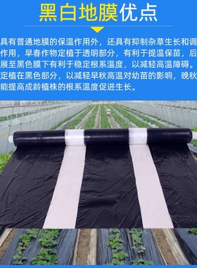 农用保温黑白相间地膜双白单白地膜银黑双色反光膜大棚膜塑料薄膜