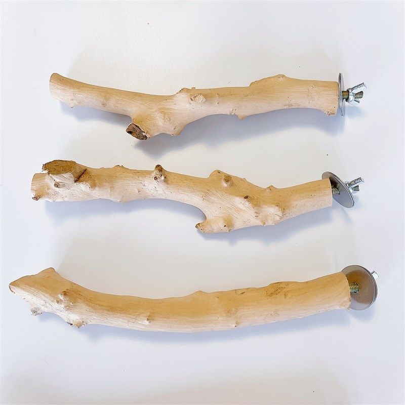 8玖-酸枣木鹦鹉站杆鸟用品鸟笼配件磨牙棒鸟窝原木色站杠造型随机,宠物/宠物食品及用品,鸟禽其他,淘宝优惠券,粉丝福利购,淘宝优惠卷