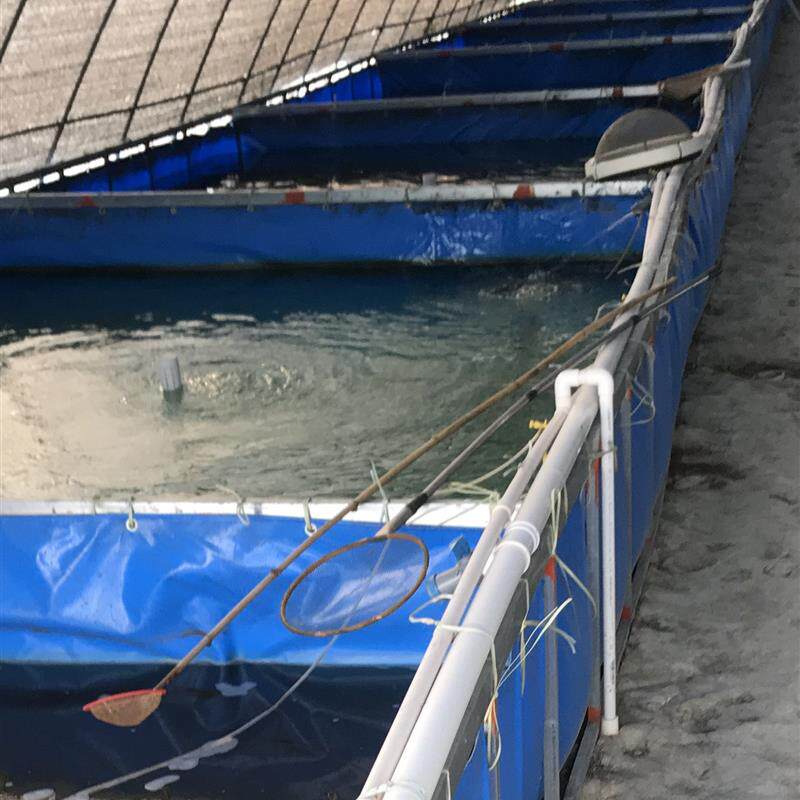 刀刮布水池帆布池游泳池养殖鱼池蛙池蓄水帆布池加厚蓬布水袋定做