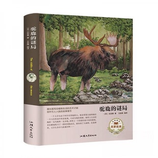 【正版书籍】驼鹿的谜局比安著王锋9787565833656汕头大学出版社