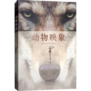 【正版图书】动物映象祖克慰著9787544185028沈阳出版社