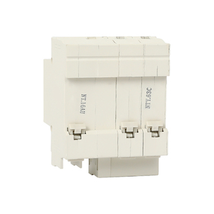 漏电保护器家用220V小型空气开关32A 63 A配电总闸带防雷击指示灯