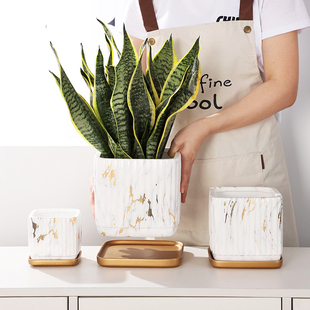 北欧简约四方形花盆大理石纹陶瓷虎皮兰花盆栽盆室内桌面多肉文竹