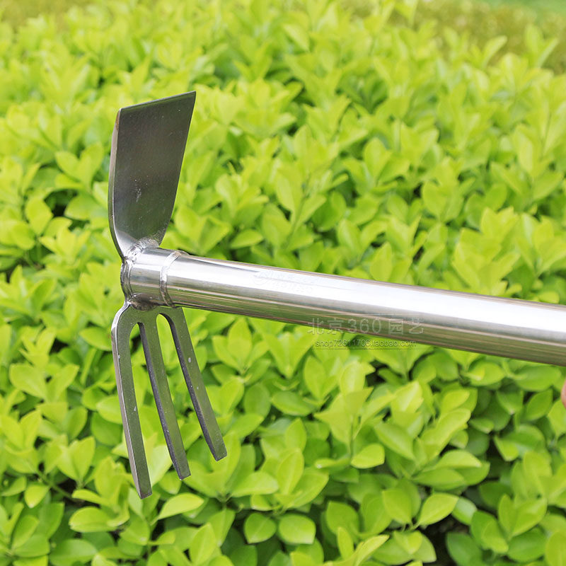加厚不锈钢园艺工具套装种花菜铲锄耙铁锨养花小盆栽多肉植物松土,鲜花速递/花卉仿真/绿植园艺,铲子,淘宝优惠券,粉丝福利购,淘宝优惠卷