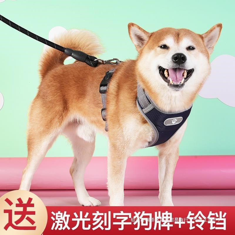 狗狗牵引绳胸背带狗绳子大小中型犬宠物用品柴犬小狗项圈脖圈遛狗,宠物/宠物食品及用品,猫牵引绳,淘宝优惠券,粉丝福利购,淘宝优惠卷