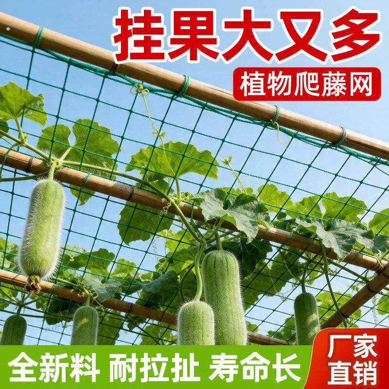 爬藤网植物攀爬网丝瓜豆角黄瓜月季百香果通用瓜果新型瓜果网格网