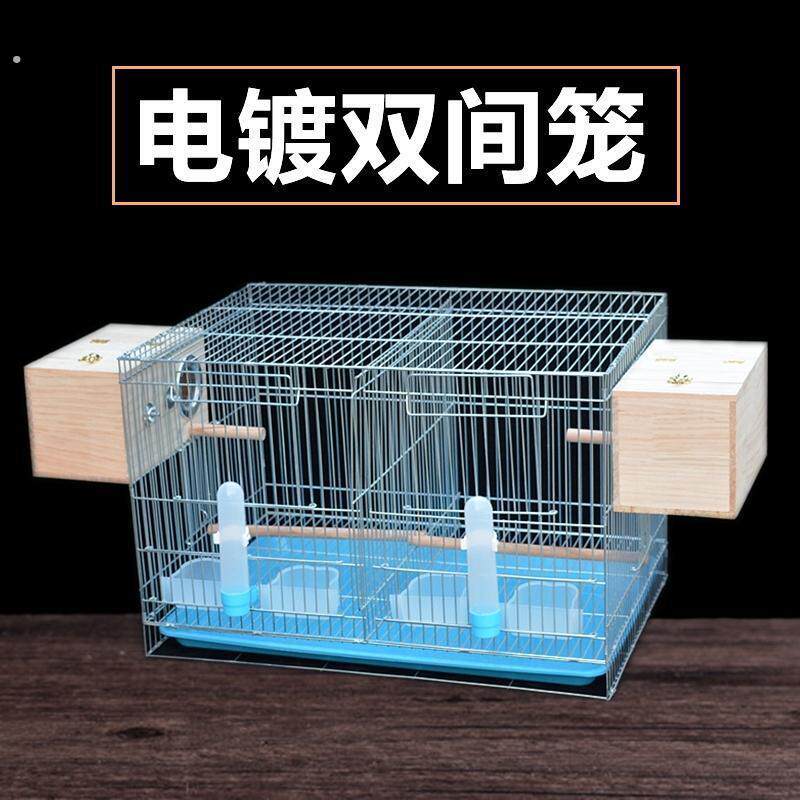 双间大号鸟笼鹦鹉鸟笼子分隔断镀锌加粗养殖笼虎皮牡丹玄风配对笼