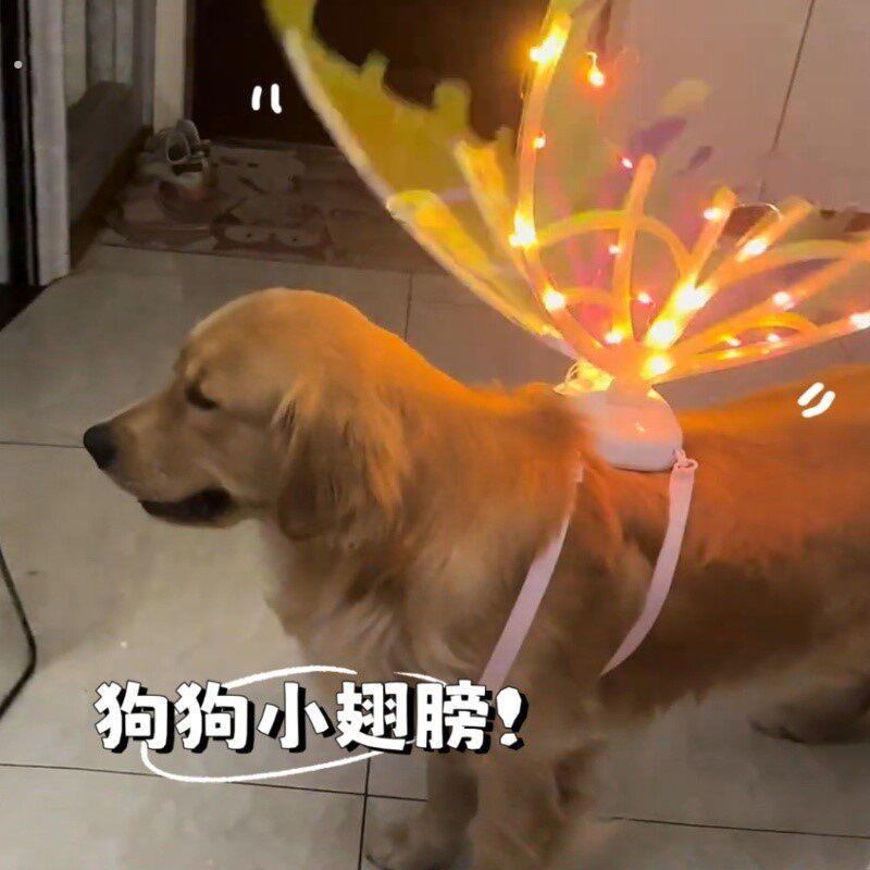狗狗天使翅膀生日结婚装扮狗衣服带音乐动感羽翼中大型犬宠物配件