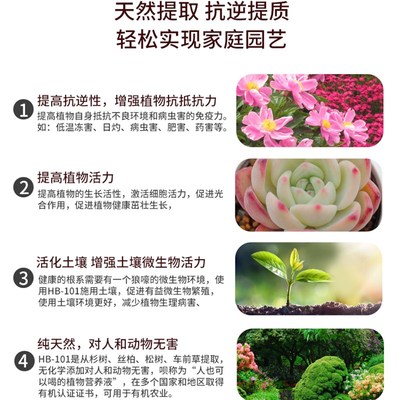 HB101植物活力素缓释肥生长素促生长颗粒植物营养液块根龙舌兰