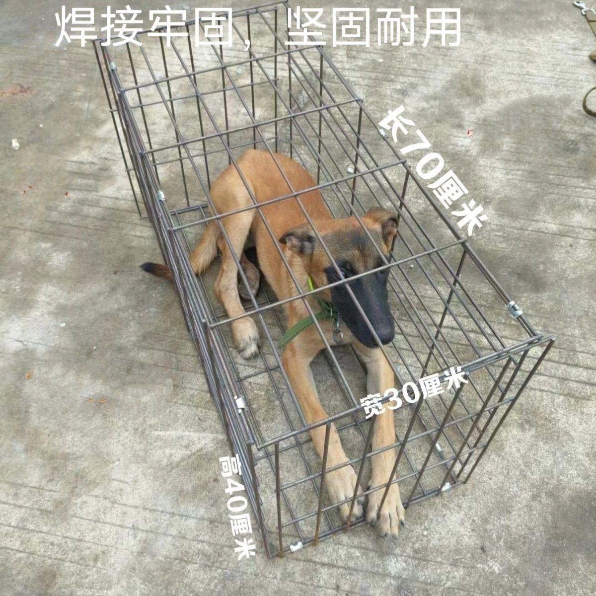 一次性大型犬车载运输笼装50斤猛犬便宜咬不烂折叠笼加粗狗笼铁笼