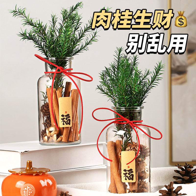 肉桂生财瓶摆件发财diy装饰招财客厅财位乔迁新居礼品新年礼品,家居饰品,国学摆件,淘宝优惠券,粉丝福利购,淘宝优惠卷