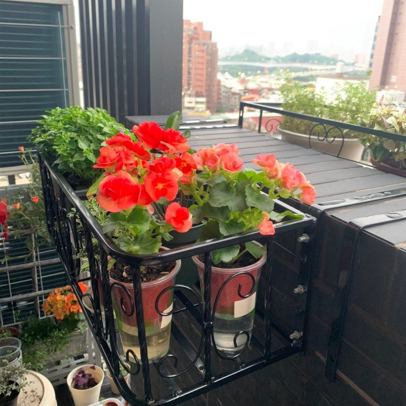铁艺阳台栏杆花架壁挂式窗台花架护栏悬挂式花盆架多肉植物花架子,住宅家具,花架/花几,淘宝优惠券,粉丝福利购,淘宝优惠卷