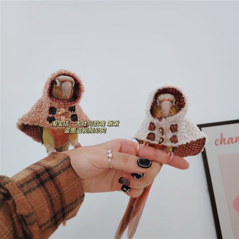 牛角扣款鸟衣服鹦鹉披风斗篷加厚保暖外出鹦鹉用品,宠物/宠物食品及用品,鸟禽服饰,淘宝优惠券,粉丝福利购,淘宝优惠卷