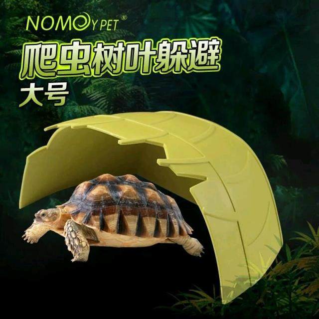 宠物龟躲避隐藏洞穴热带雨林款陆龟爬虫蜘蛛蜥蜴蛇小鸟装饰大小号,宠物/宠物食品及用品,爬宠缸/箱,淘宝优惠券,粉丝福利购,淘宝优惠卷
