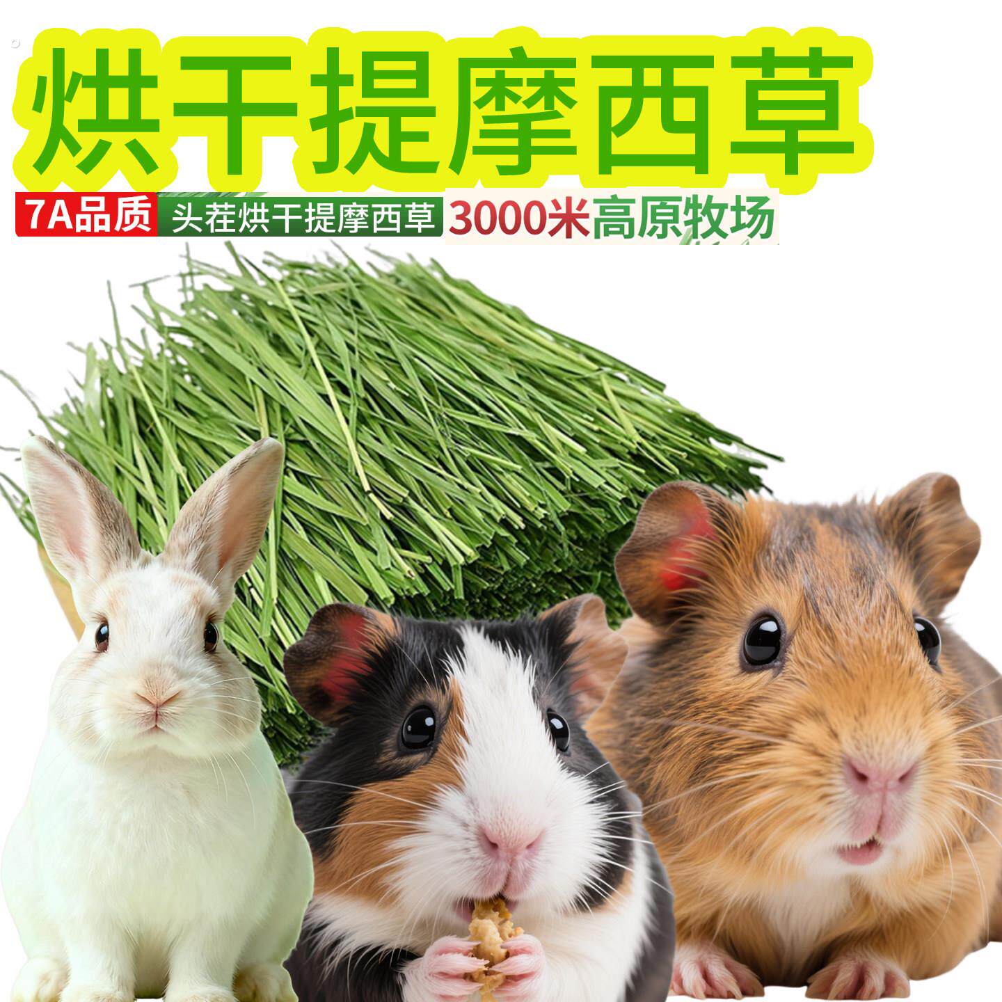 25年烘干提摩西草兔子龙猫荷兰猪豚鼠牧草草段二番晒干兔干草