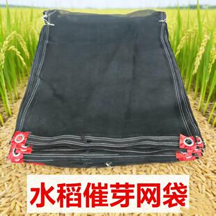 加厚水稻催芽袋黑色拉炼浸种网袋农用发芽机专用尼龙袋大棚育秧袋