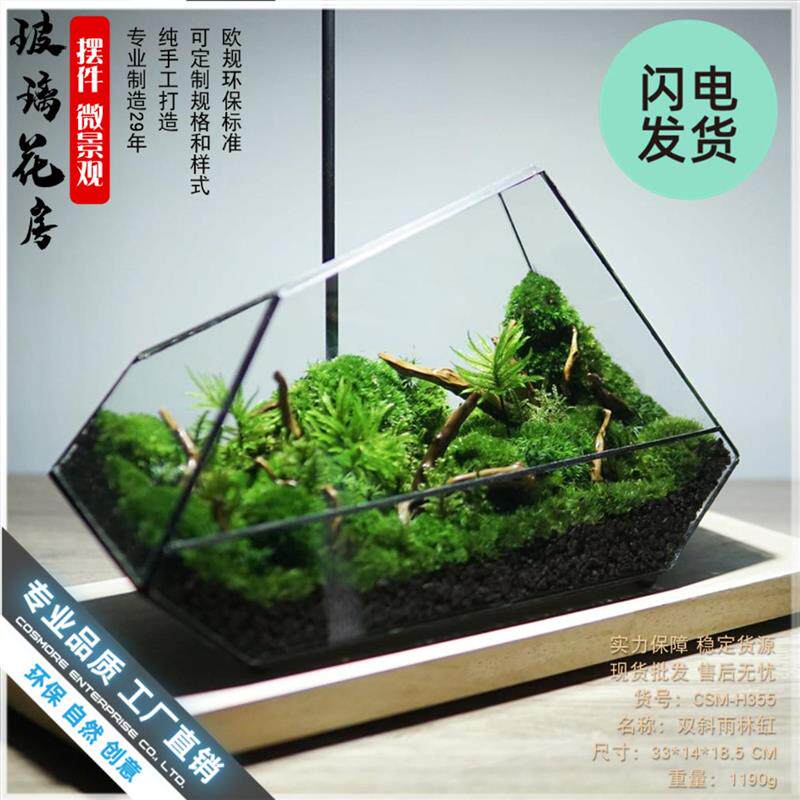桌面生态瓶苔藓微玻璃生态瓶闷养迷你小盆景造景蒲面青苔雨林水陆